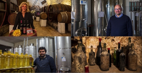 Le secolari cantine del sud-est barese, l� dove si produce il sontuoso Primitivo di Gioia